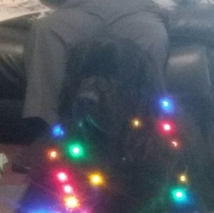 Meet your Posher, Jackie